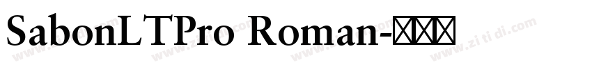 SabonLTPro Roman字体转换